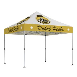 10x10 Peak Pro Pop-up Canopy (Full Roof Customized)