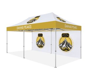 10x20 Peak Pro Pop-up Canopy (Full Roof with Backwall)